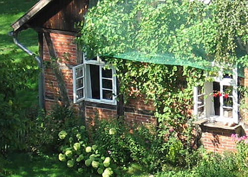 Am alten Fachwerk rankt der Wein empor.