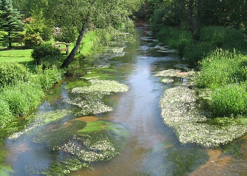 Der Heidefluß Örtze durchfließt die kleine Ortschaft Müden.